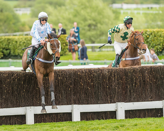 Race 3 - HSBS HC 3m1f 56y