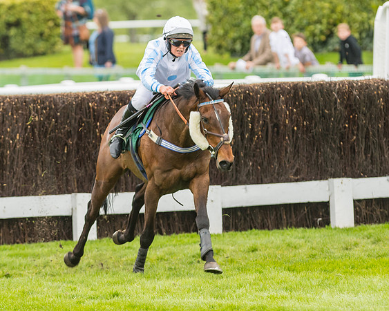 Race 3 - HSBS HC 3m1f 56y