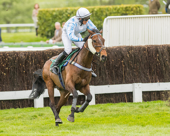 Race 3 - HSBS HC 3m1f 56y