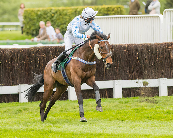 Race 3 - HSBS HC 3m1f 56y