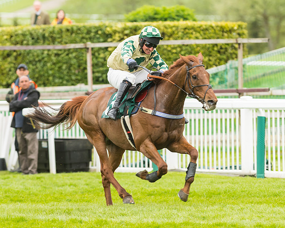 Race 3 - HSBS HC 3m1f 56y