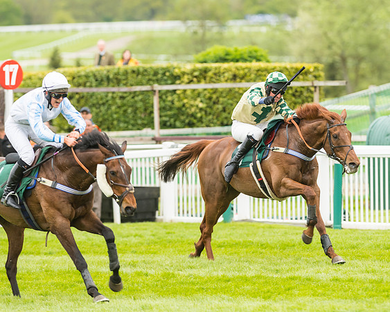 Race 3 - HSBS HC 3m1f 56y