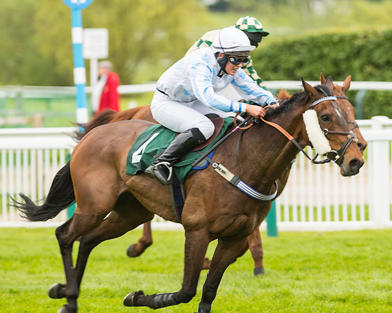 Race 3 - HSBS HC 3m1f 56y