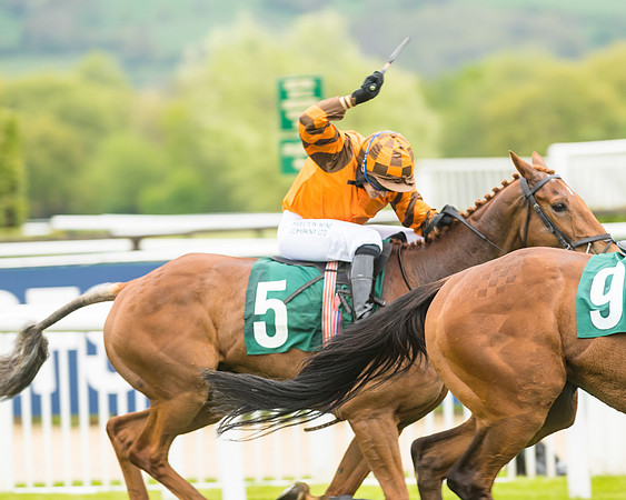 Race 3 - HSBS HC 3m1f 56y
