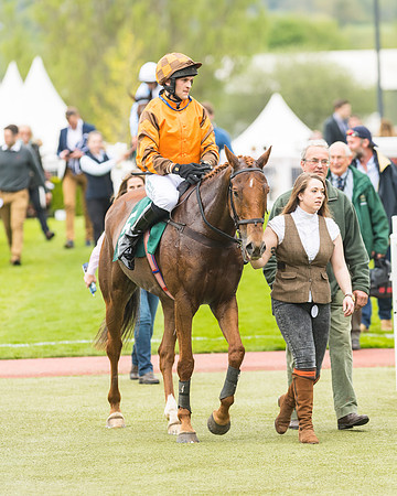 Race 3 - HSBS HC 3m1f 56y