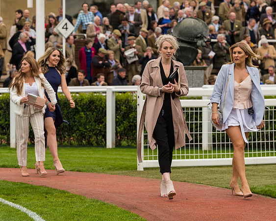 Race 4 - Timico Gold Cup (2 of 380)