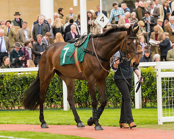 Race 4 - Timico Gold Cup (3 of 380)