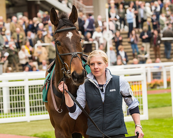 Race 4 - Timico Gold Cup (4 of 380)