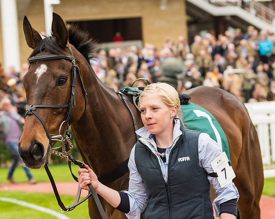 Race 4 - Timico Gold Cup (5 of 380)