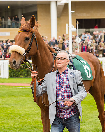 Race 4 - Timico Gold Cup (7 of 380)