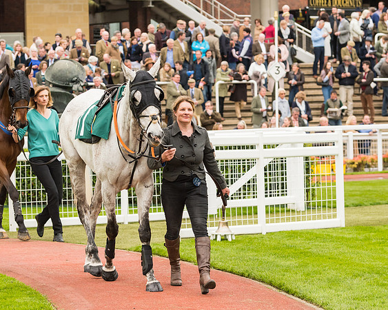 Race 4 - Timico Gold Cup (9 of 380)