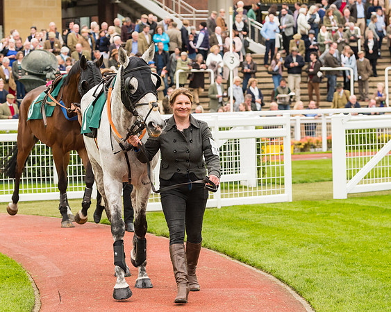 Race 4 - Timico Gold Cup (10 of 380)