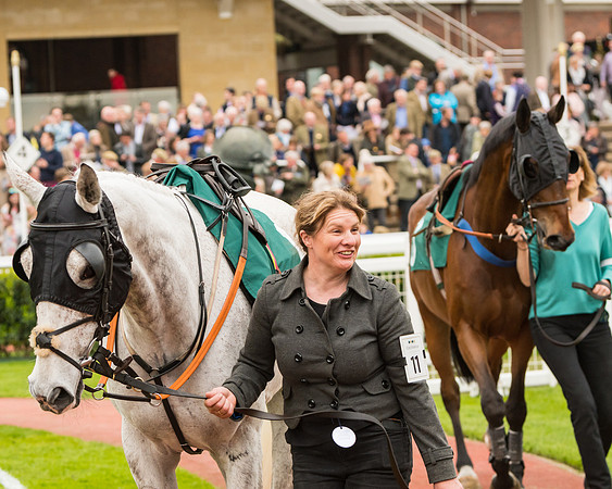 Race 4 - Timico Gold Cup (12 of 380)