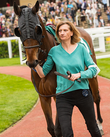 Race 4 - Timico Gold Cup (14 of 380)