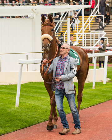 Race 4 - Timico Gold Cup (19 of 380)