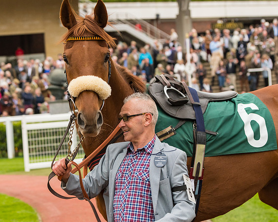 Race 4 - Timico Gold Cup (21 of 380)