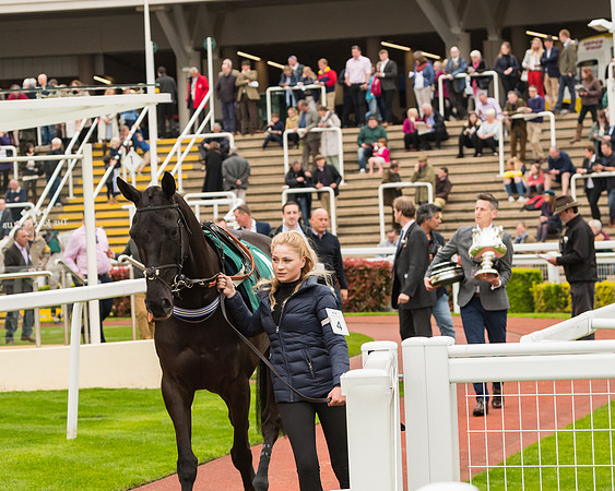 Race 4 - Timico Gold Cup (22 of 380)