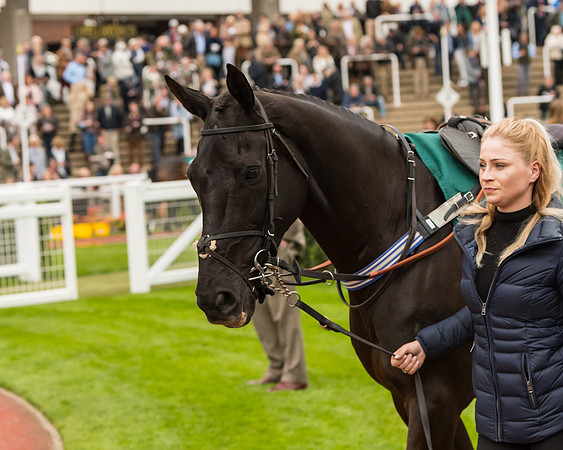 Race 4 - Timico Gold Cup (24 of 380)