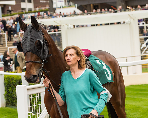 Race 4 - Timico Gold Cup (29 of 380)
