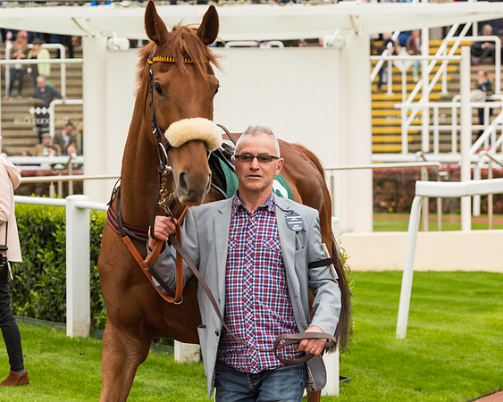 Race 4 - Timico Gold Cup (37 of 380)