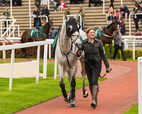 Race 4 - Timico Gold Cup (41 of 380)