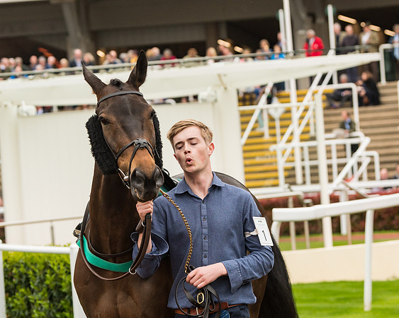 Race 4 - Timico Gold Cup (49 of 380)