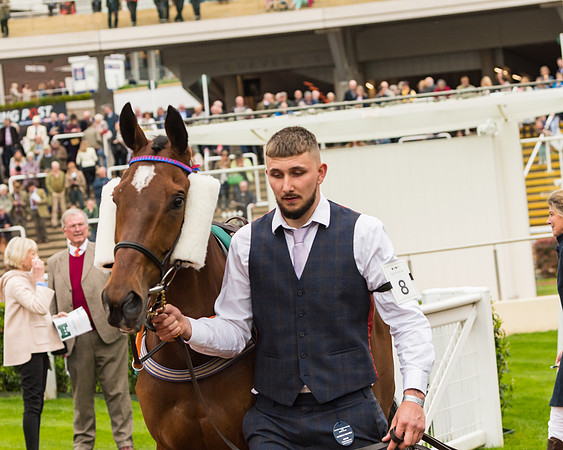 Race 4 - Timico Gold Cup (52 of 380)