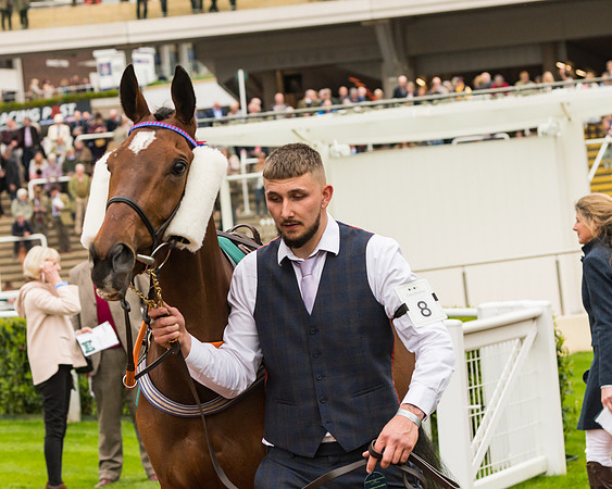Race 4 - Timico Gold Cup (53 of 380)