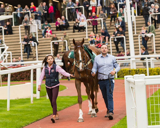 Race 4 - Timico Gold Cup (54 of 380)