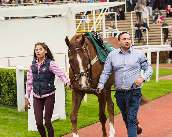 Race 4 - Timico Gold Cup (57 of 380)