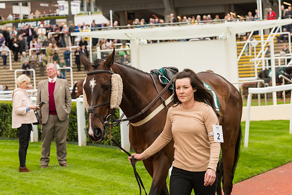 Race 4 - Timico Gold Cup (61 of 380)