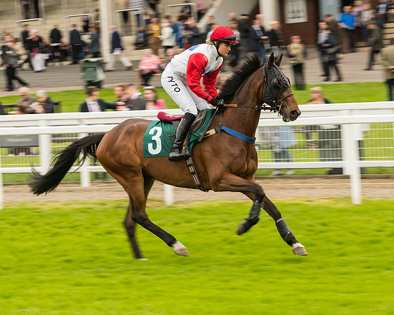 Race 4 - Timico Gold Cup (69 of 380)