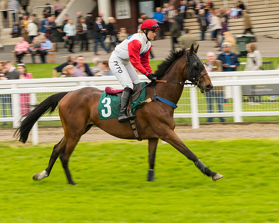 Race 4 - Timico Gold Cup (70 of 380)