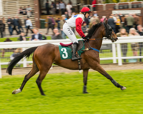 Race 4 - Timico Gold Cup (74 of 380)