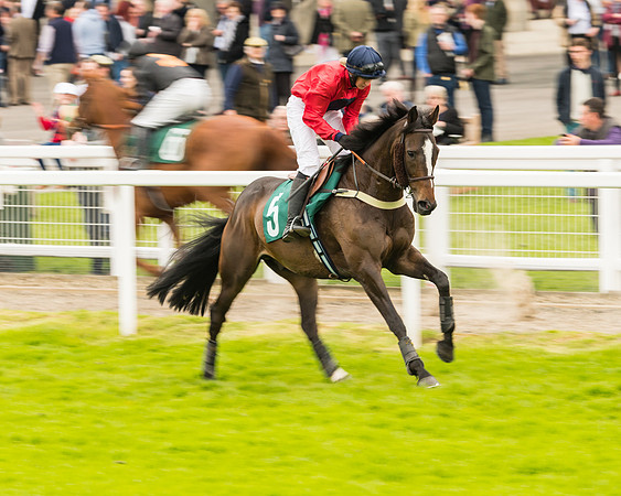 Race 4 - Timico Gold Cup (79 of 380)