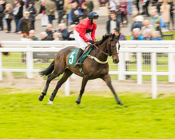 Race 4 - Timico Gold Cup (80 of 380)