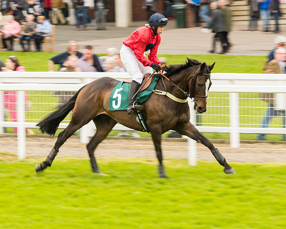 Race 4 - Timico Gold Cup (81 of 380)