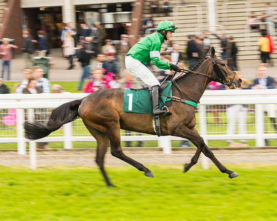 Race 4 - Timico Gold Cup (85 of 380)