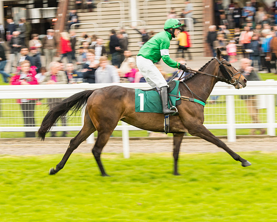 Race 4 - Timico Gold Cup (86 of 380)