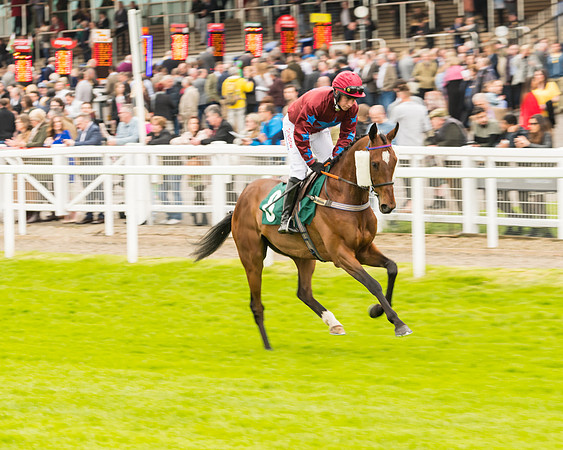 Race 4 - Timico Gold Cup (90 of 380)