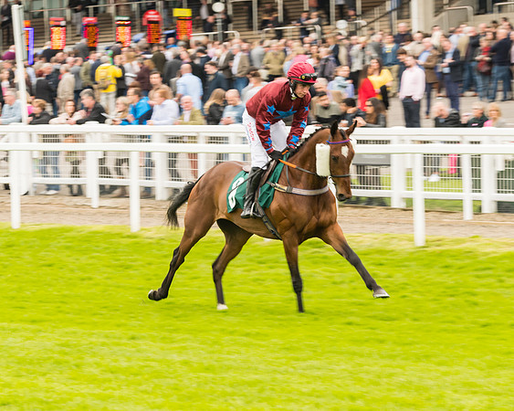 Race 4 - Timico Gold Cup (91 of 380)
