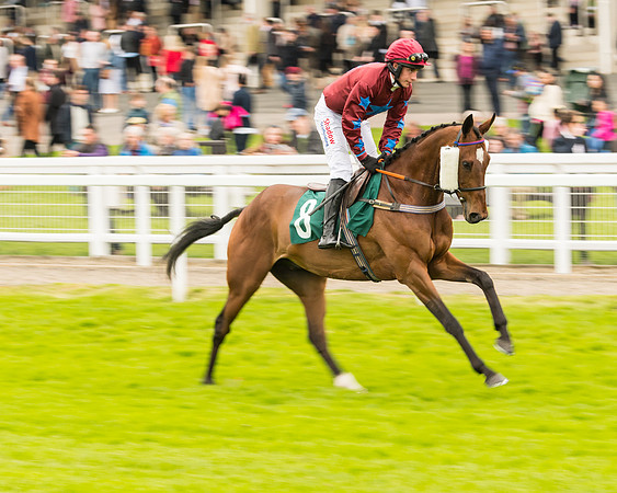 Race 4 - Timico Gold Cup (92 of 380)