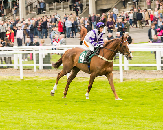 Race 4 - Timico Gold Cup (96 of 380)