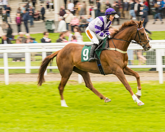 Race 4 - Timico Gold Cup (97 of 380)