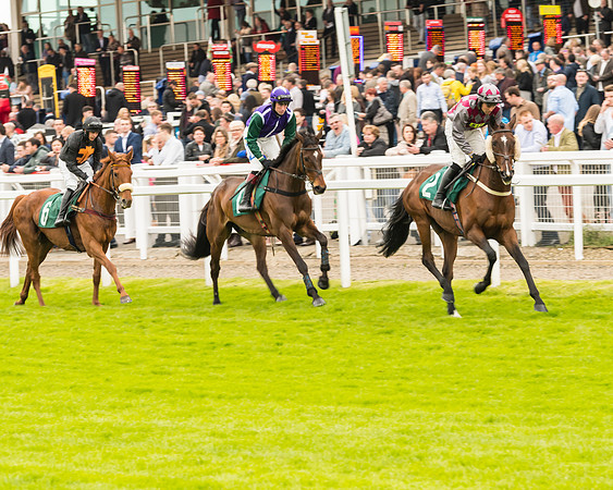 Race 4 - Timico Gold Cup (99 of 380)