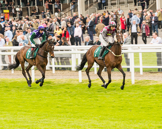 Race 4 - Timico Gold Cup (100 of 380)