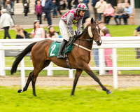Race 4 - Timico Mixed Open Series Gold cup Final HC 3m2f70y
