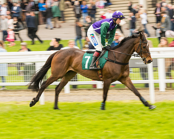 Race 4 - Timico Gold Cup (106 of 380)