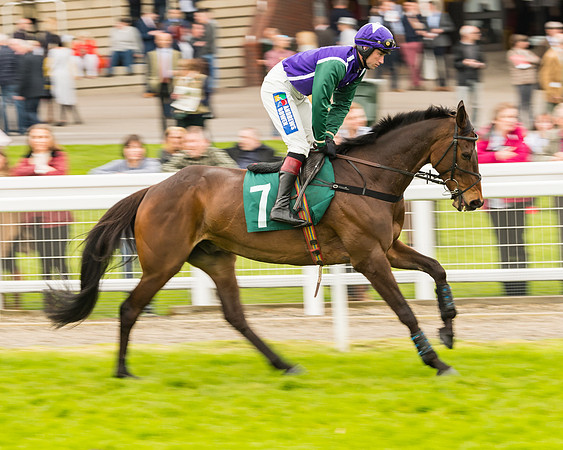 Race 4 - Timico Gold Cup (108 of 380)