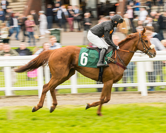 Race 4 - Timico Gold Cup (110 of 380)